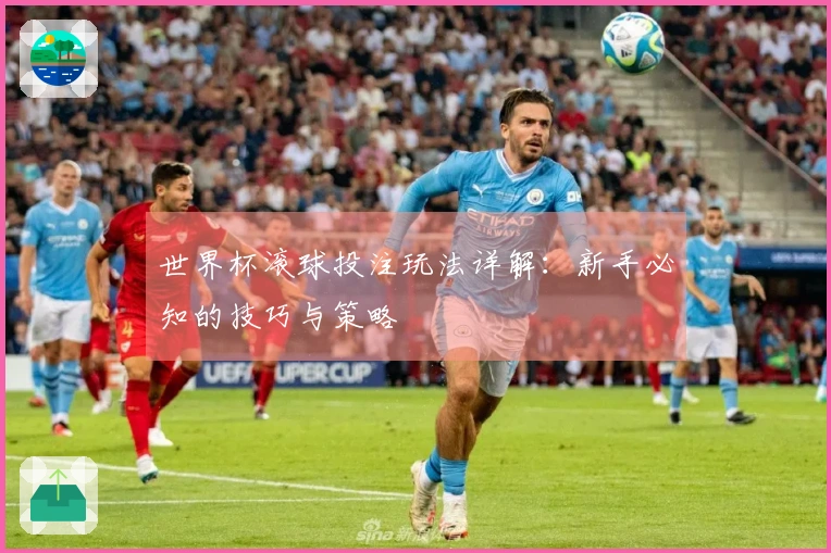 世界杯滚球投注玩法详解：新手必知的技巧与策略