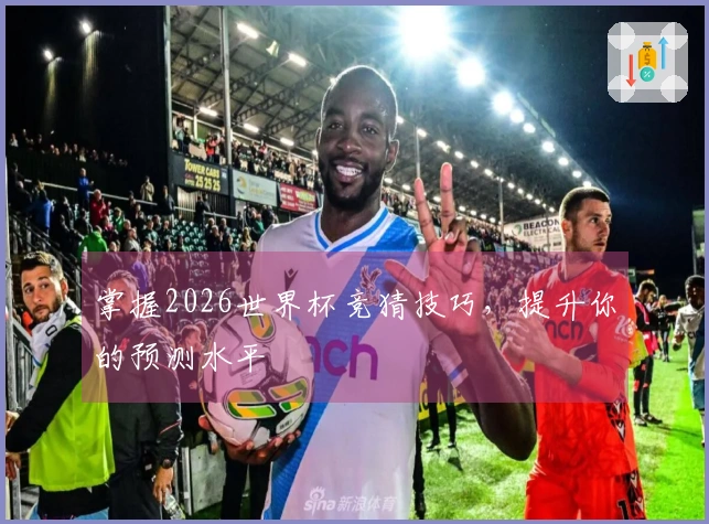 掌握2026世界杯竞猜技巧，提升你的预测水平