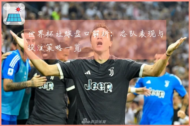 世界杯让球盘口解析：各队表现与投注策略一览