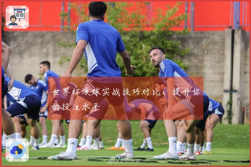 世界杯滚球实战技巧对比，提升你的投注水平