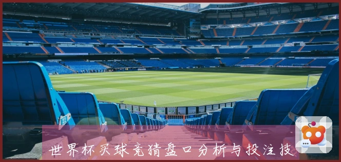 世界杯买球竞猜盘口分析与投注技巧分享