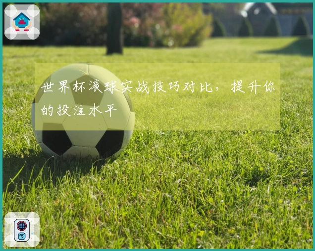 世界杯滚球实战技巧对比，提升你的投注水平